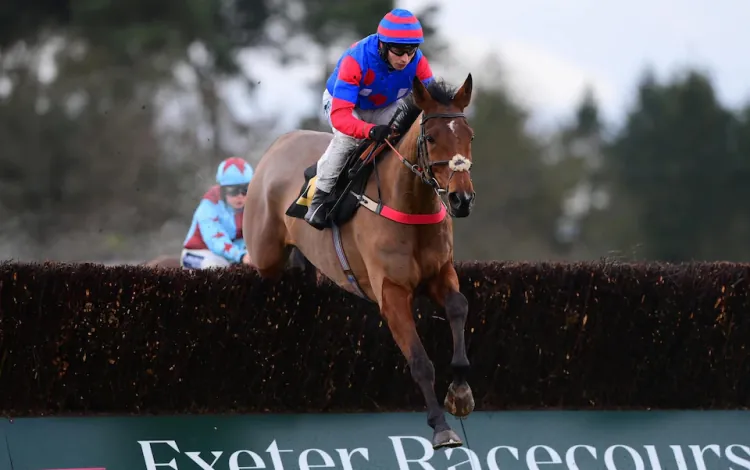 Cheltenham Festival Day 1 Guide: Tips, Races, and Weather Forecast