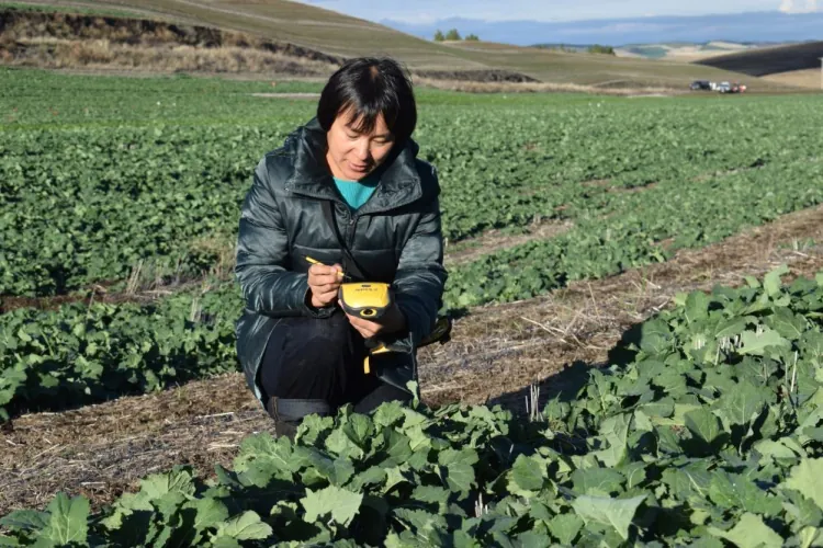 Innovations in Soil Science: Dr. Haiying Tao's Impact on Agriculture
